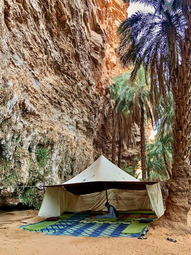 Tent under palms in a desert oasis