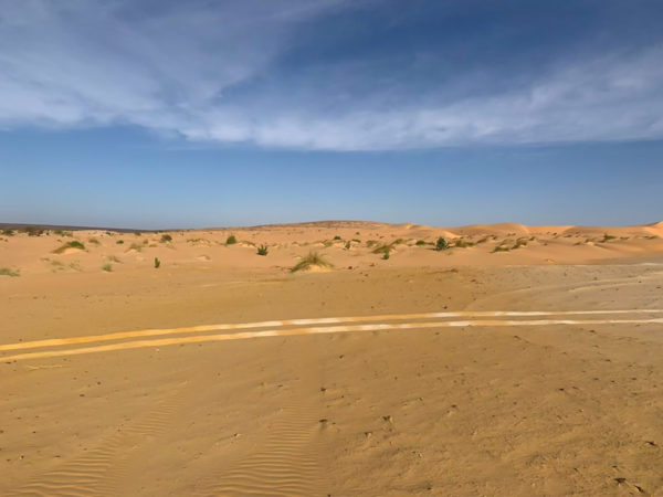 Vehicle tracks mark the edge of the open desert