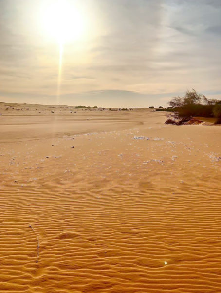 The sun glares over the desert floor