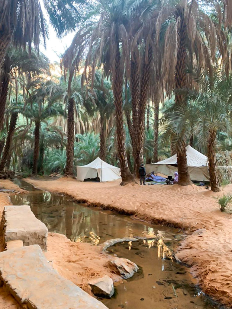 Desert oasis shaded in palms with an encampment