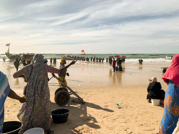 Busy fisherman in the Nouakchott Markét du Poisson