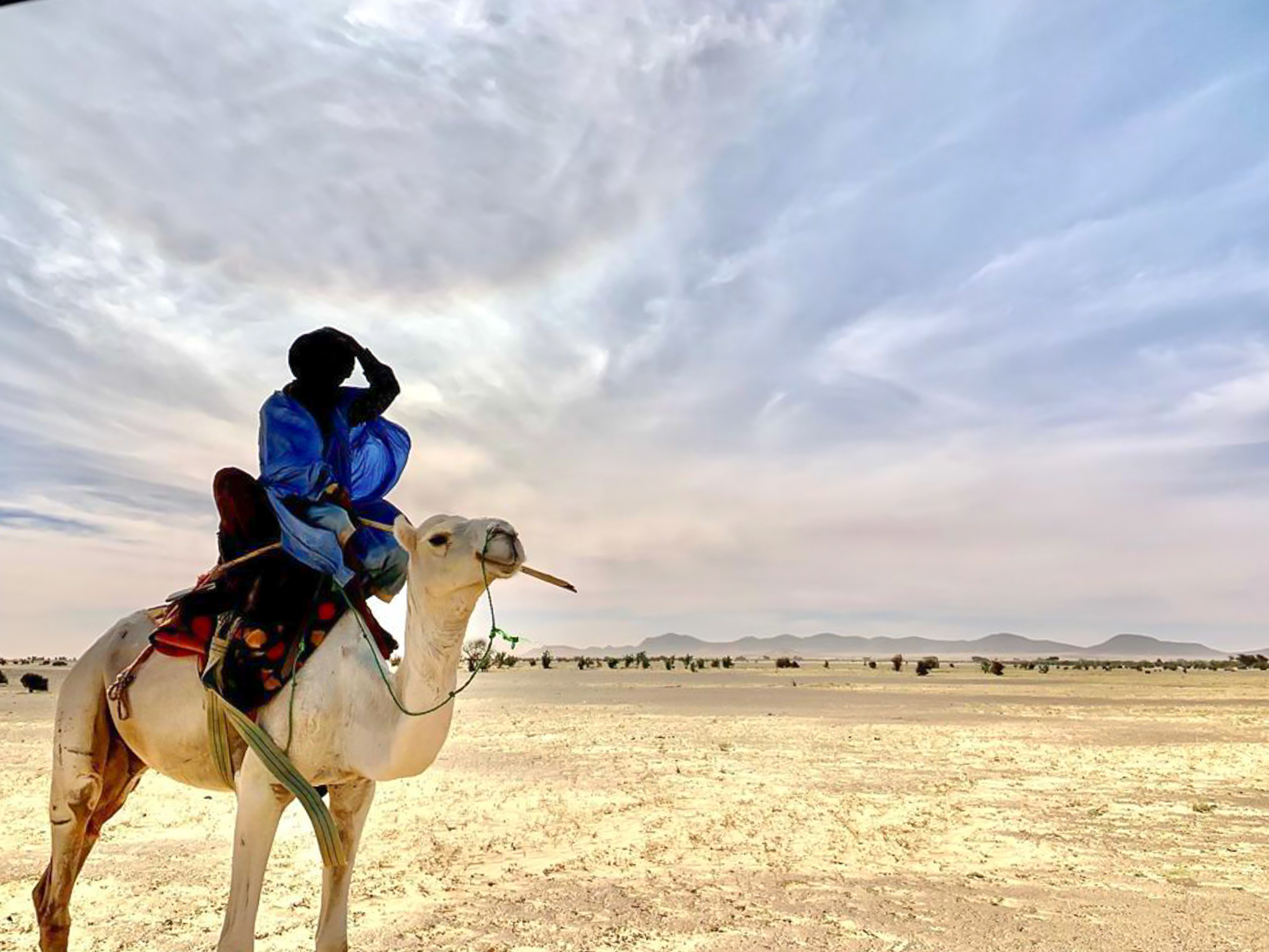 Arabic man on a camel in the desert
