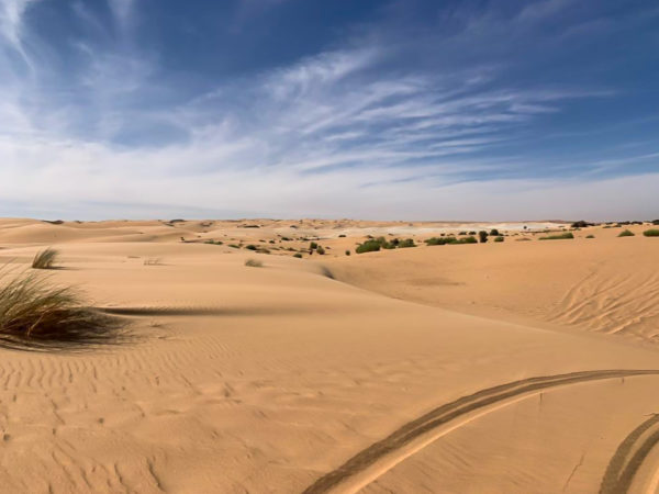 Blue skies meet creamy desert sand in Azouega