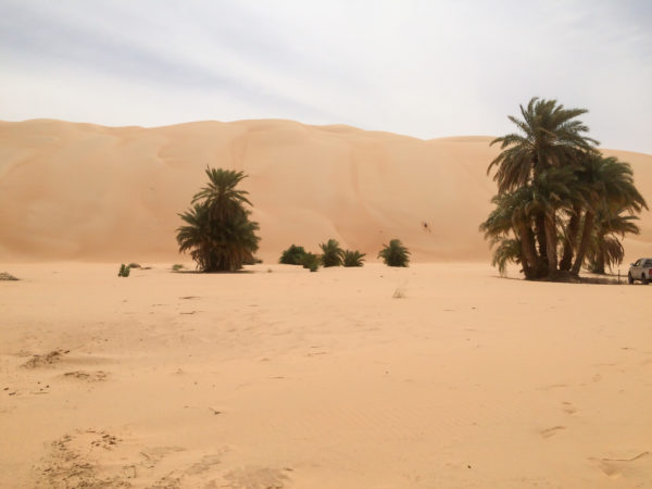 A wall of sand appears in the form of a sudden dune in Azouega